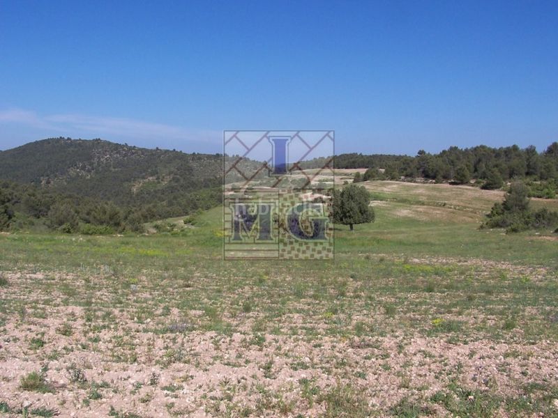 Foto 675b1724-563d-414a-990f-4d61d782e084. Masia a Yeste