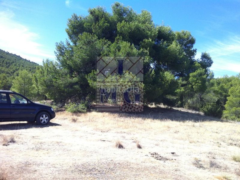 Foto 769cf598-ed92-42a0-97f2-a75756dc7d74. Masia a Yeste