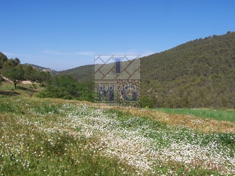 Foto 91bc5569-0e66-4fd5-8586-81f1c57537af. Masia a Yeste