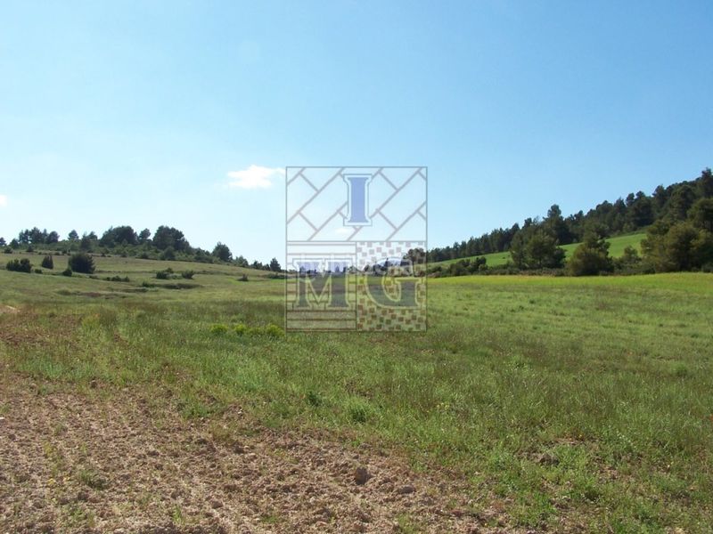 Foto b357dd7e-ab0a-48f0-9411-03344b4d9053. Masia a Yeste