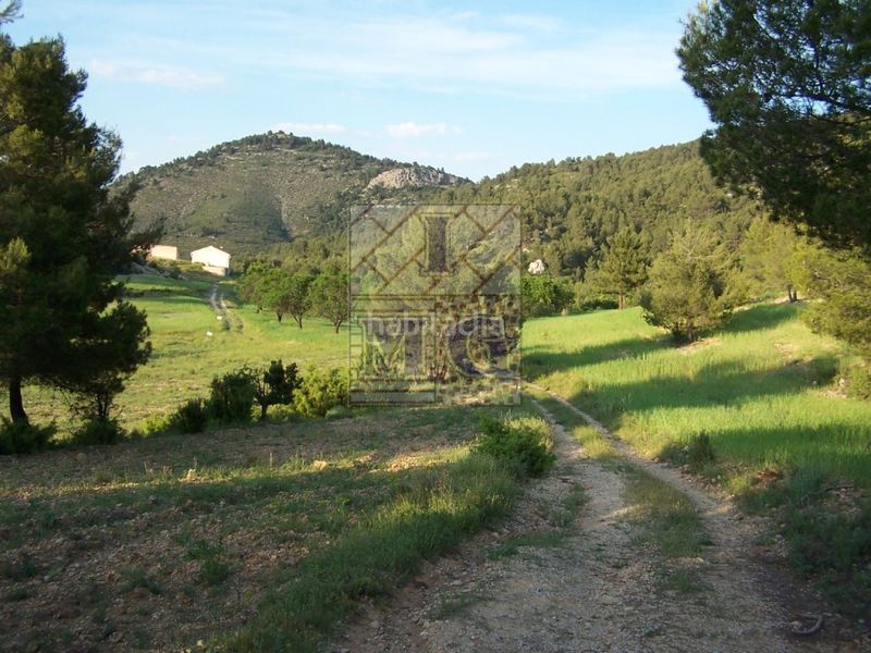 Foto b461a36d-7d13-4001-b8ae-ac7fc1e539ee. Masia a Yeste