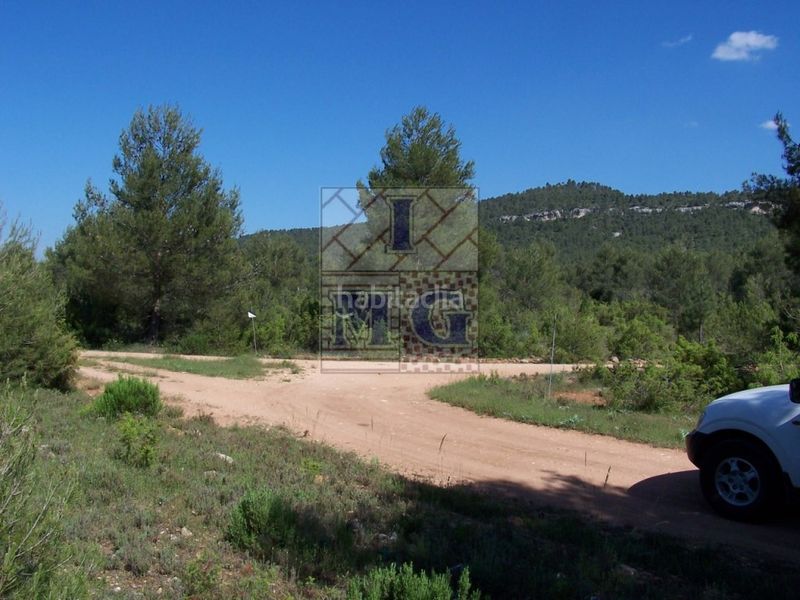 Foto cd72d272-294d-401e-9e20-439e8584e34b. Masia a Yeste