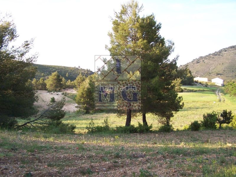 Foto cd78443e-3f76-4a66-9259-b855f25e75cc. Masia a Yeste