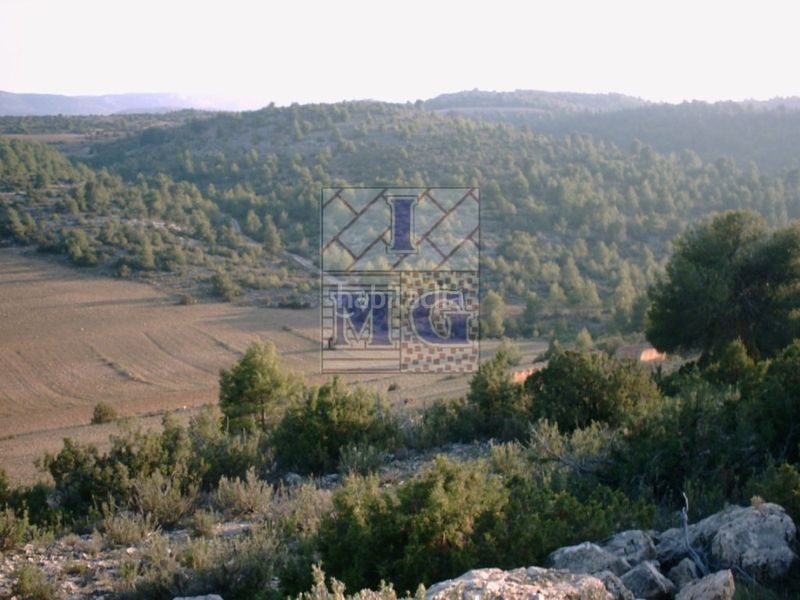 Foto dd5634ef-9aec-406b-8ceb-dacf0d9c1c39. Masia a Yeste