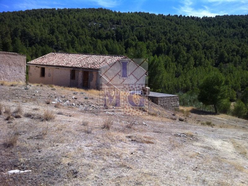 Foto e131fb6c-8aaf-4a76-9844-4b118bfe8ff4. Masia a Yeste