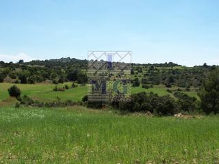 Masia en Yeste. Finca de caza