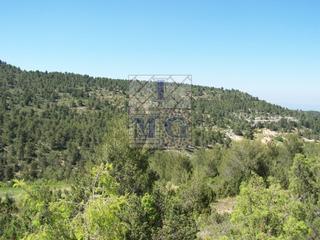 Casa en Cieza. Finca de pinos.