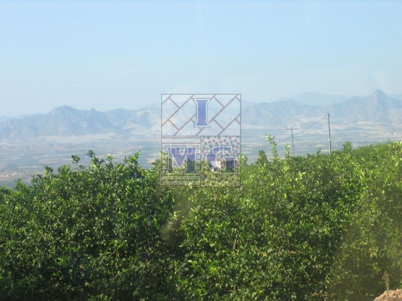 Foto 82b065ee-3726-4389-b0e4-7c251693c24b. Landgut in Fortuna