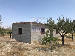 Rural plot in Fortuna. Finca en fortuna