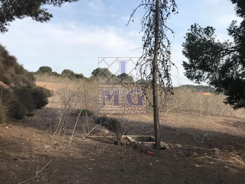 Foto 377f116d-08b6-4614-90f8-c72d835f3bc5. Casa a El Esparragal Murcia