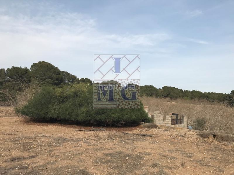 Foto 37f73779-c9d7-4108-b0b6-c36254532557. Casa a El Esparragal Murcia