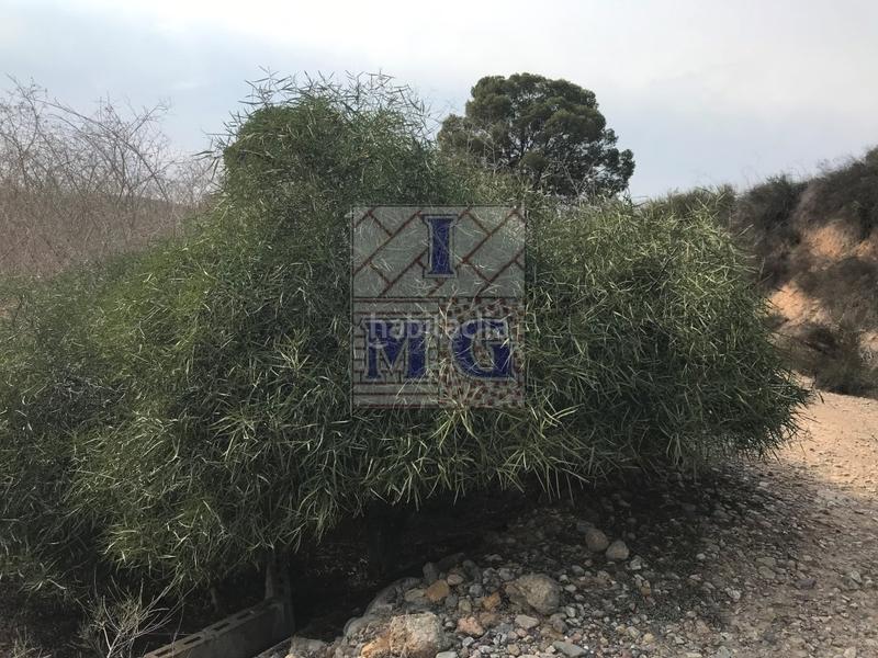 Foto 7a6e2288-a013-4ded-a044-617f7895cba4. Casa a El Esparragal Murcia