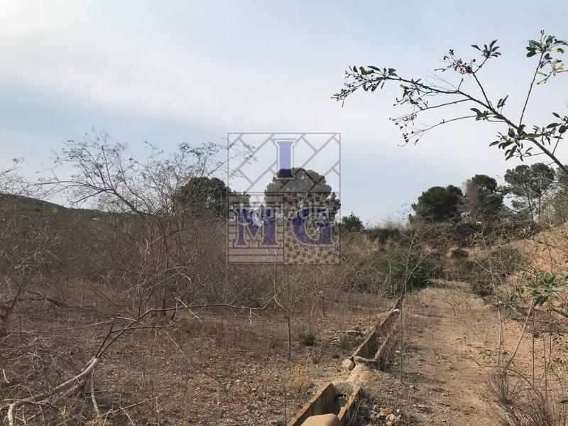 Foto 8e326d2b-30d7-40ec-873d-f446f97d4e2d. Casa a El Esparragal Murcia