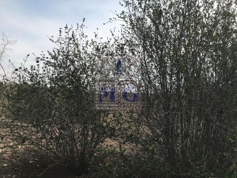 Foto b33cf5d5-c9d0-439d-b0ed-61698709ffcd. Casa a El Esparragal Murcia