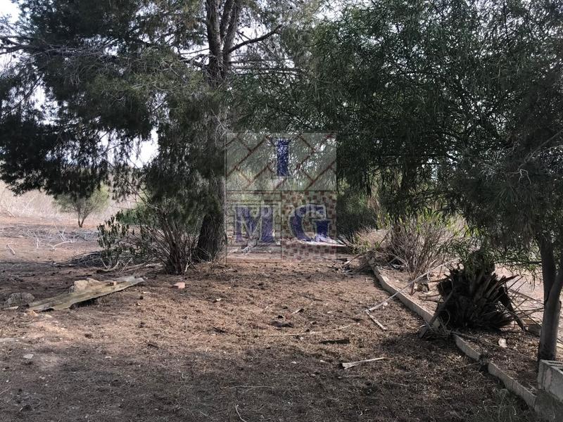 Foto cf8c7926-339d-477f-8979-37ff994457de. Casa a El Esparragal Murcia