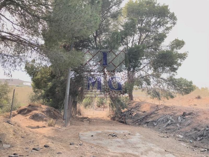 Foto e06813b3-ae3d-4118-ae5c-b0bea2a11a1e. Casa a El Esparragal Murcia