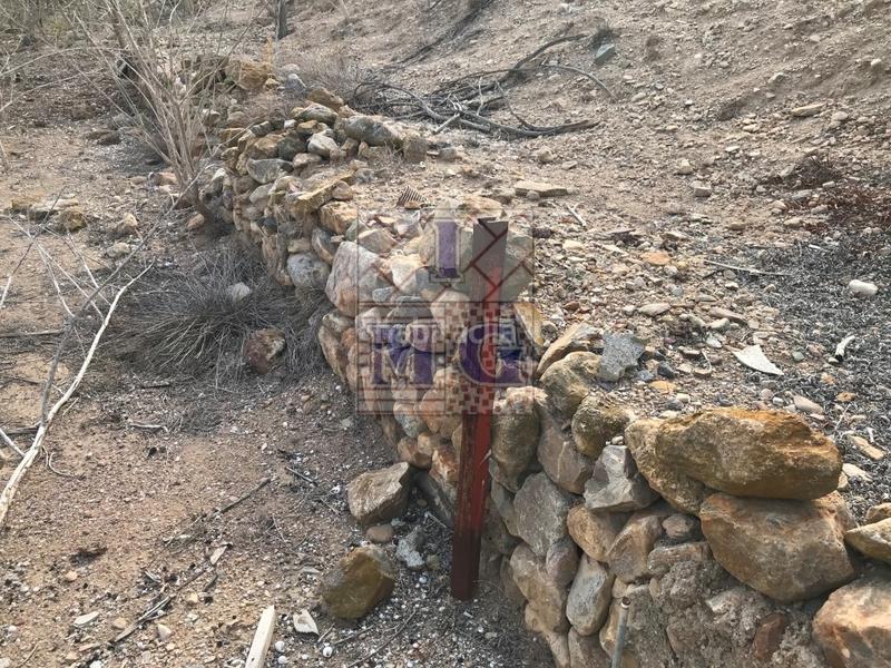 Foto ed9e7d86-8e98-4e92-bcfd-800ab0db9fcb. Casa a El Esparragal Murcia