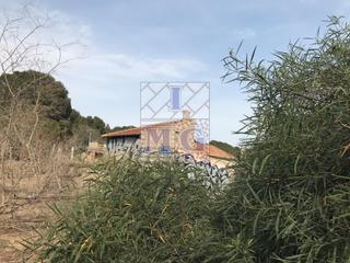 Casa en El Esparragal. Casa con parcela  reformar