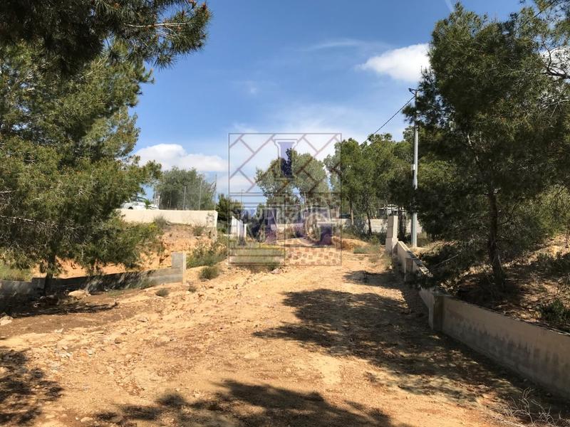 Foto 09202822-0b84-4f20-b6eb-006a892d8153. Rural plot in El Esparragal Murcia