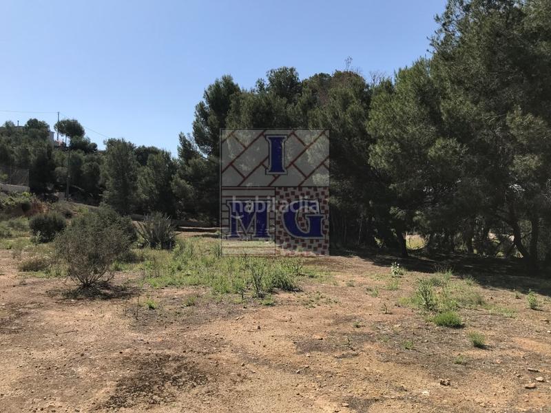 Foto 5b7ba6db-2fad-4366-9528-7f992ef081ed. Rural plot in El Esparragal Murcia
