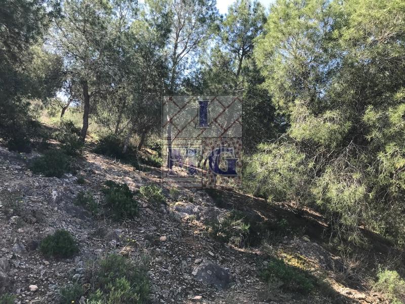 Foto 601c6670-851a-45c0-9103-b0cdb68bf6b7. Rural plot in El Esparragal Murcia