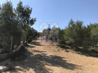 Propriété à El Esparragal. Parcela rustica