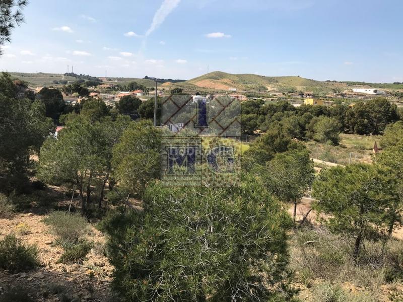 Foto 988d7c06-8e9c-4732-acad-83692e682a17. Rural plot in El Esparragal Murcia