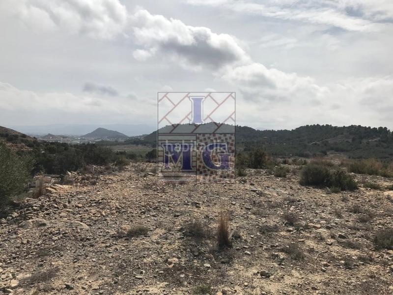 Foto 12685519-0028-421e-99a6-81ebb05bceab. Rural plot in El Esparragal Murcia