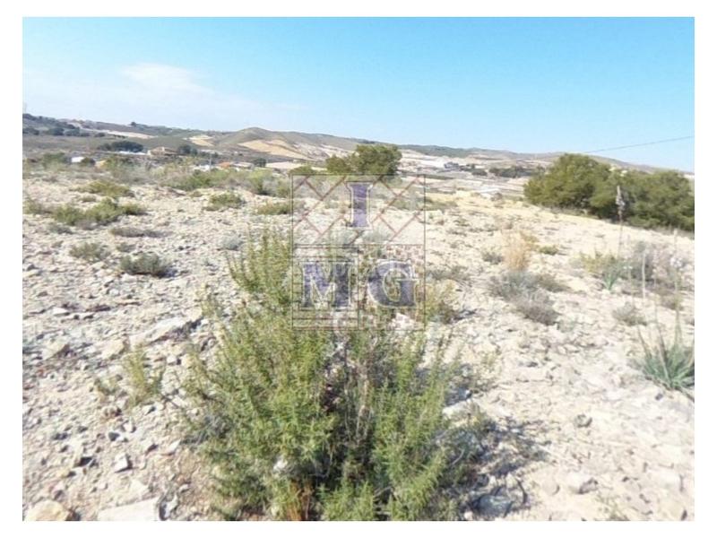 Foto 32cb805e-44cd-46fe-a0f1-ff9ebf2c46b6. Rural plot in El Esparragal Murcia