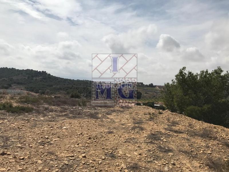 Foto 39144a6f-eae3-4f18-a466-3980cdf30ad9. Rural plot in El Esparragal Murcia
