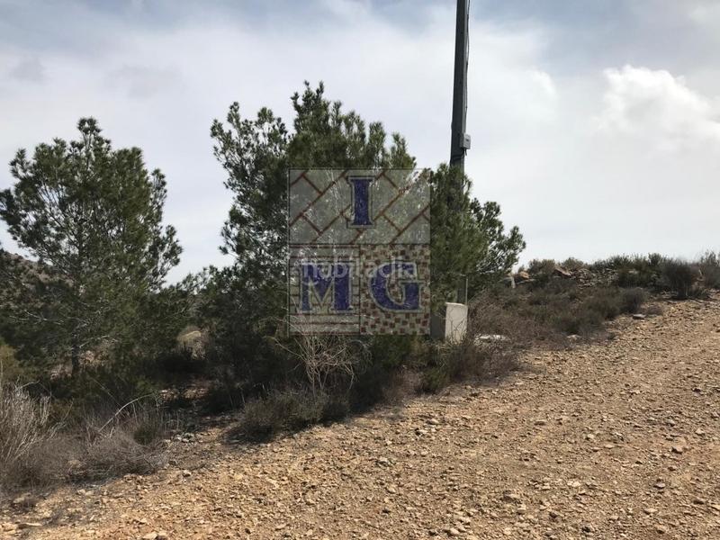 Foto 47a33cb3-2517-4d67-8d04-260d91c05881. Rural plot in El Esparragal Murcia