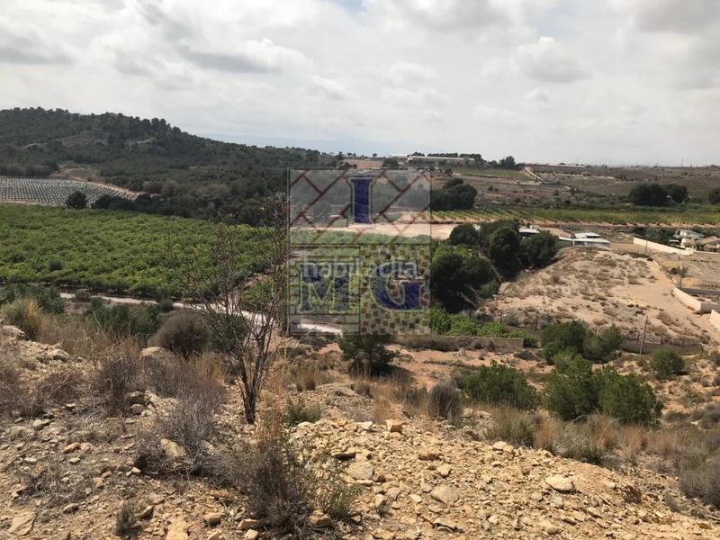 Foto 6485e0ab-0097-4615-b612-7d799549c0f7. Rural plot in El Esparragal Murcia