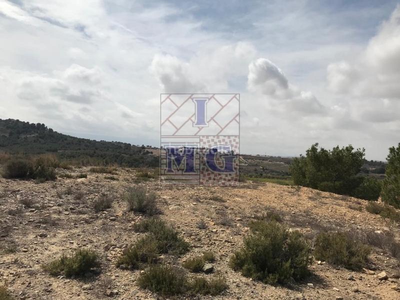 Foto 6b9e0967-bfba-447a-acf0-22672b2bb4ab. Rural plot in El Esparragal Murcia