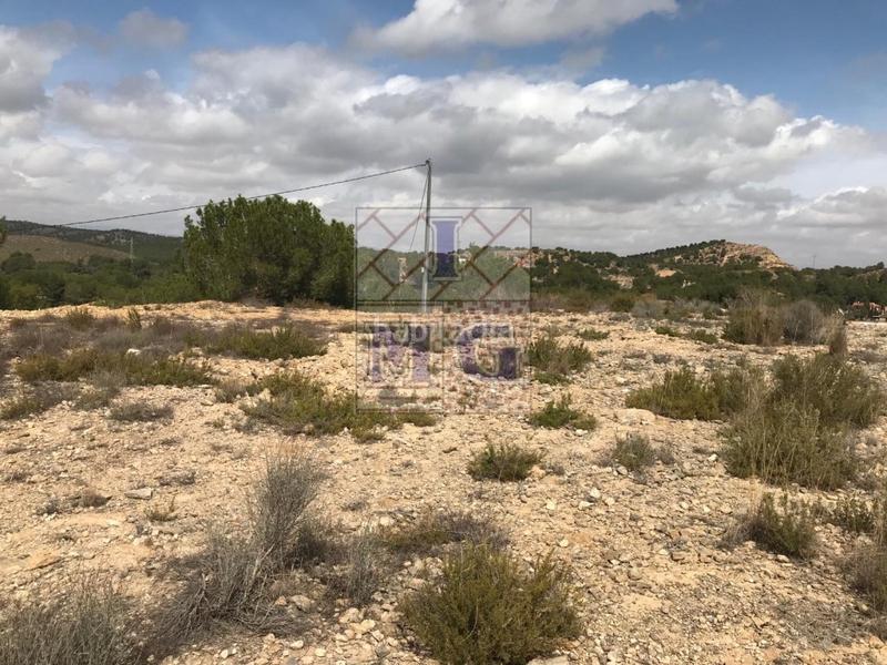 Foto 74841b1b-7a30-478f-82d6-9edd56ae947a. Rural plot in El Esparragal Murcia