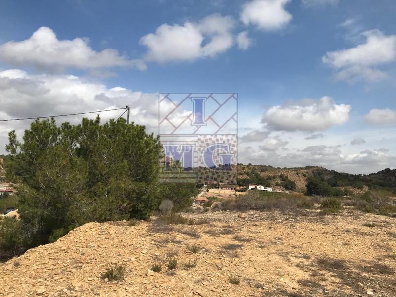 Foto 7947ed03-8398-4857-9f72-892f3dce1904. Rural plot in El Esparragal Murcia