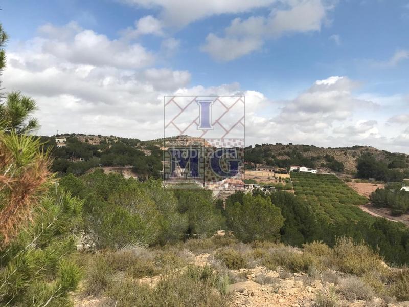 Foto 8779bf7d-600c-4846-85f6-a1229e59444a. Rural plot in El Esparragal Murcia