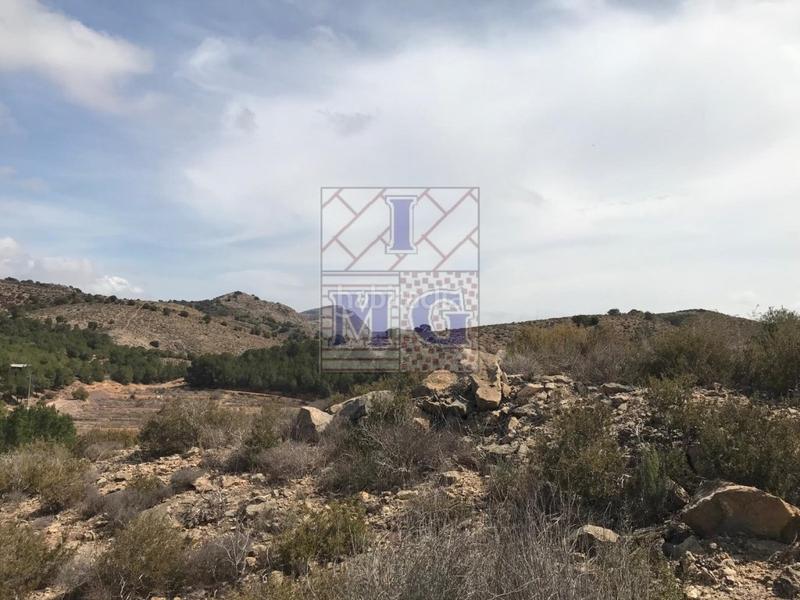 Foto 8c8f80bc-cd4b-4506-9d47-934a32abc2c5. Rural plot in El Esparragal Murcia