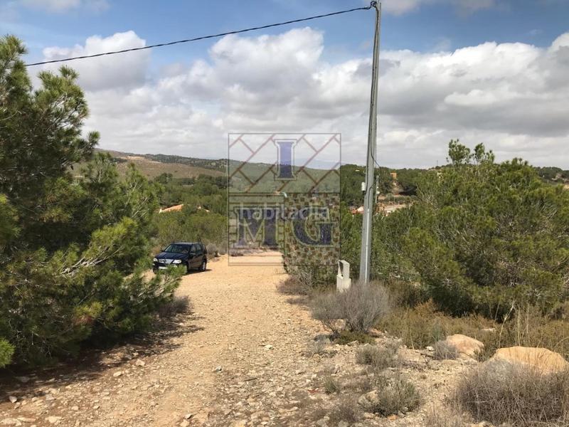 Foto ed94dc6f-2a67-4652-b3ff-3c28d720091b. Rural plot in El Esparragal Murcia