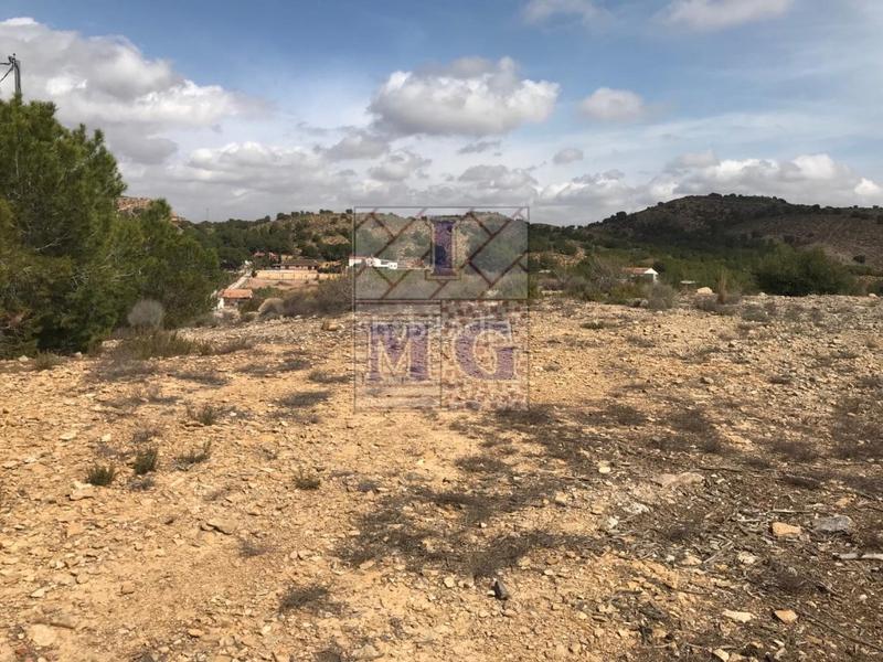 Foto f2162364-2f9b-4b16-ad85-a1fb98eef721. Rural plot in El Esparragal Murcia