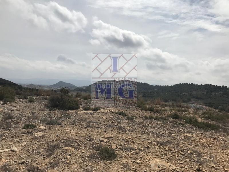 Foto f33af9b0-c0be-4eb2-a51e-53b8047d4727. Rural plot in El Esparragal Murcia