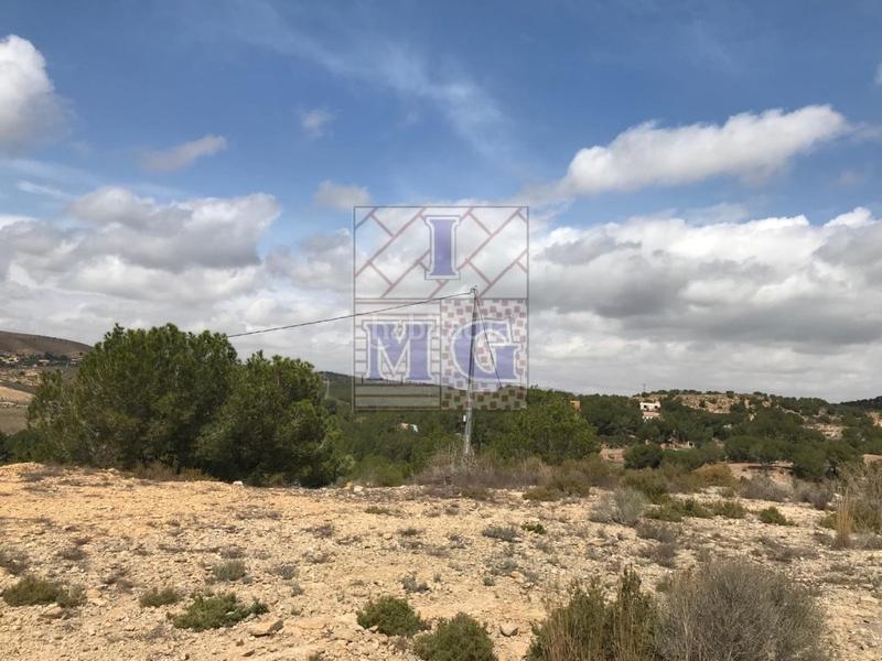 Foto f8b1263e-ad15-40a6-ad98-0763727e8942. Rural plot in El Esparragal Murcia