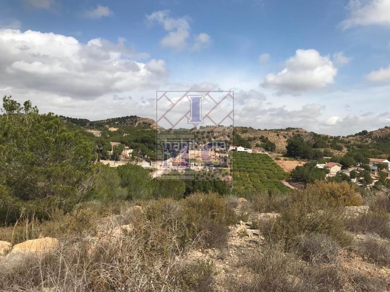 Foto fcb924cf-434e-4adf-b667-c3e79370e767. Rural plot in El Esparragal Murcia