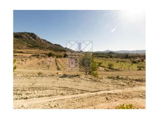 Terreny residencial a Abanilla. Parcela para cuatro chalet