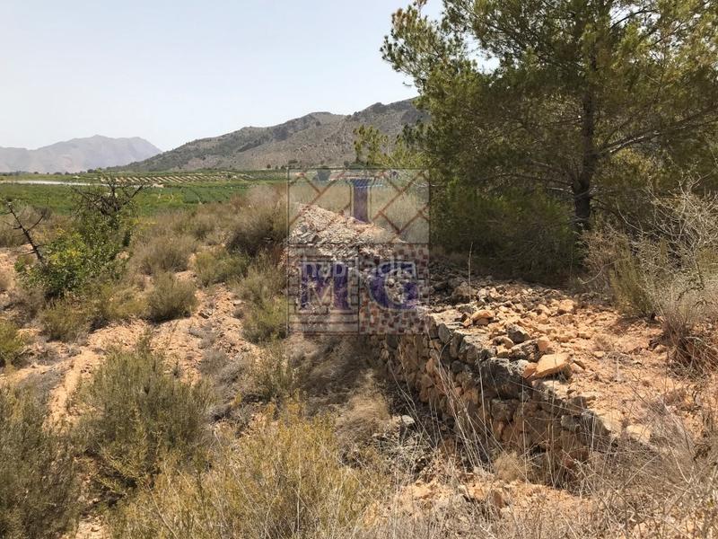 Foto 3b90e46b-77ed-4f15-8995-86684e6f5835. Finca rústica parcela de monte en Montepinar - La Aparecida - Raiguero Orihuela