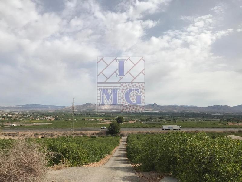 Foto 4d9fc561-8117-46fb-a0c9-2cf1ddc0dea9. Finca rústica parcela de monte en Montepinar - La Aparecida - Raiguero Orihuela
