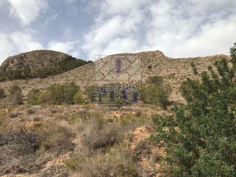 Foto 6a58bd06-b425-48a6-a532-cebcc49210c6. Finca rústica parcela de monte en Montepinar - La Aparecida - Raiguero Orihuela