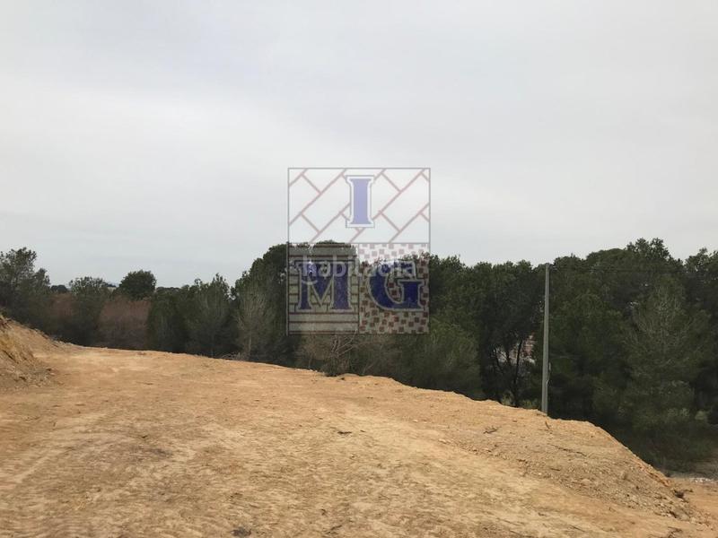 Foto 612c354e-932a-4d67-923b-a84c51e021d4. Fondo rustico in El Esparragal Murcia