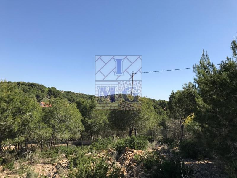 Foto 64433f42-30e4-43be-91ad-6e46419b111d. Fondo rustico in El Esparragal Murcia