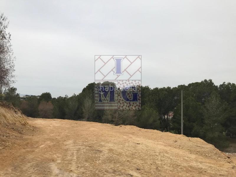 Foto 8b355066-1238-4808-b12d-294419a2e18c. Fondo rustico in El Esparragal Murcia