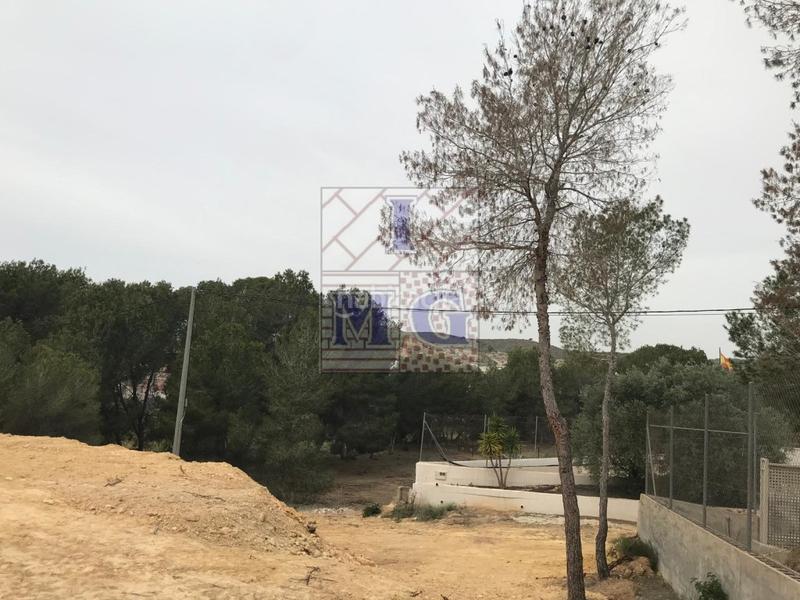 Foto b316f596-7389-4435-b24d-172342ae1140. Fondo rustico in El Esparragal Murcia